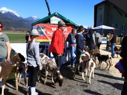 2019_ausstellung polling_675